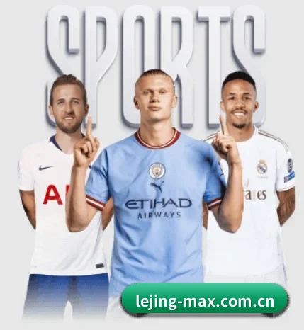 lejing-max.com.cn的故事